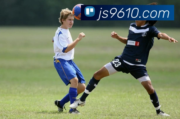 App Interface Preview