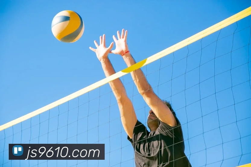 澳门金沙国际APP 封面图